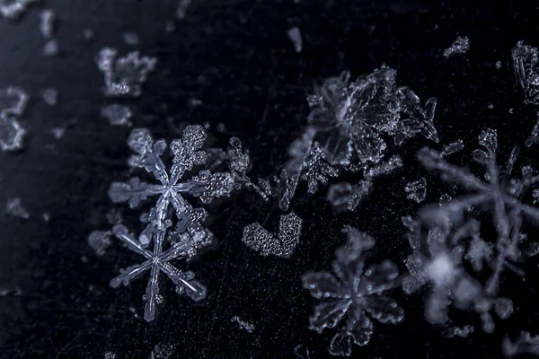 Vackra Isiga Snöflingor Mörk Bakgrund Stockbild