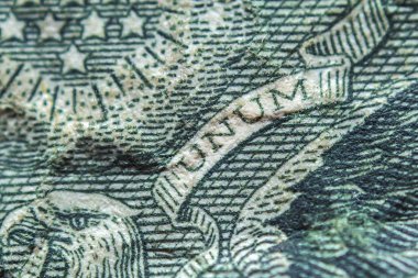 Bir dolar banknotundaki desenler