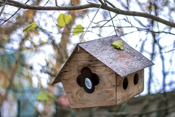 Birdhouse Árvore Parque — Fotografia de Stock