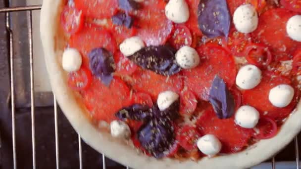 带有浆果和奶酪的自制披萨 — 图库视频影像