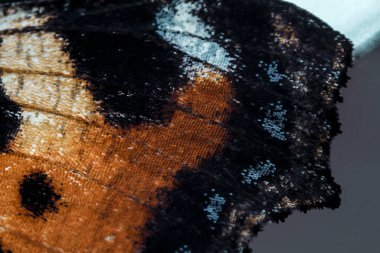 Doku ve yıldızlı soyut arkaplan