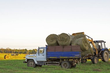Bir tarladaki traktör mahsul topluyor. 