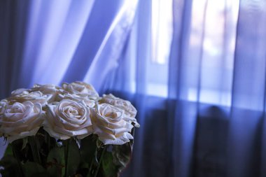 white roses in dark room