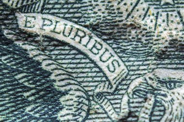 Bir dolar banknotundaki desenler