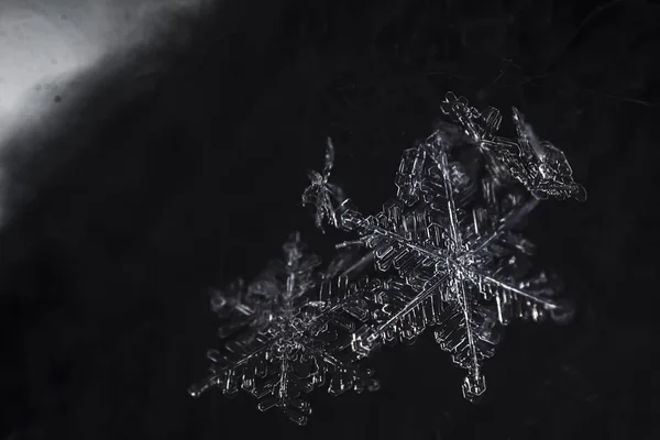 Hermosos Copos Nieve Helados Sobre Fondo Oscuro —  Fotos de Stock