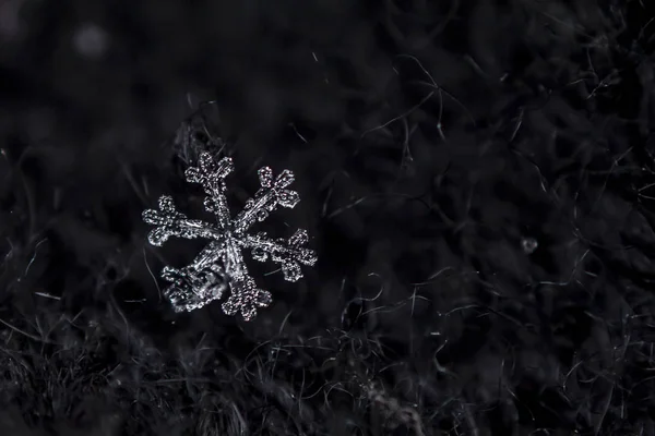 Beautiful Icy Snowflake Dark Background — Stock Photo, Image