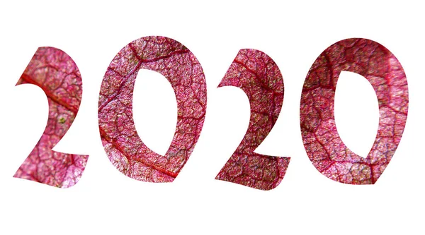 Inscrição 2020 Ano Novo — Fotografia de Stock