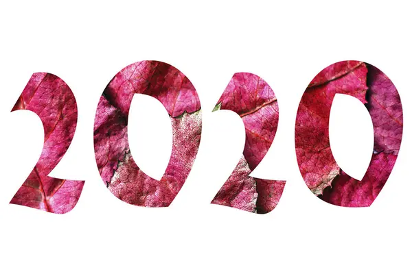 Inscrição 2020 Ano Novo — Fotografia de Stock