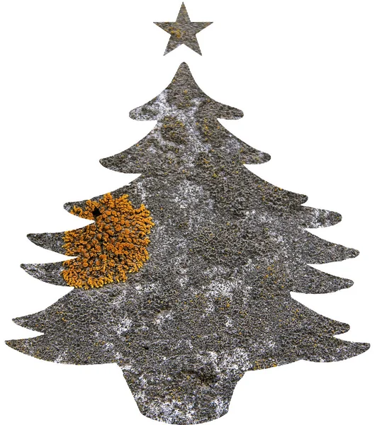 Plantilla Árbol Navidad Con Textura Natural Aislada Sobre Fondo Blanco —  Fotos de Stock
