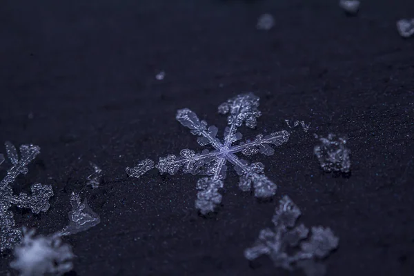 Schöne Eisige Schneeflocke Auf Dunklem Hintergrund — Stockfoto