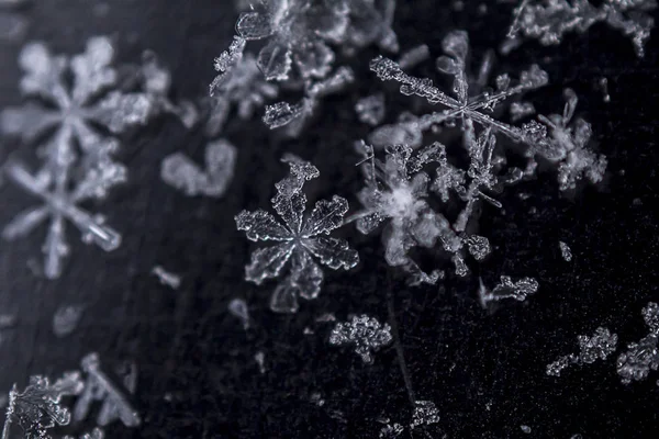 Schöne Eisige Schneeflocken Auf Dunklem Hintergrund — Stockfoto