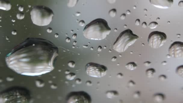 Janela com gotas de chuva — Vídeo de Stock