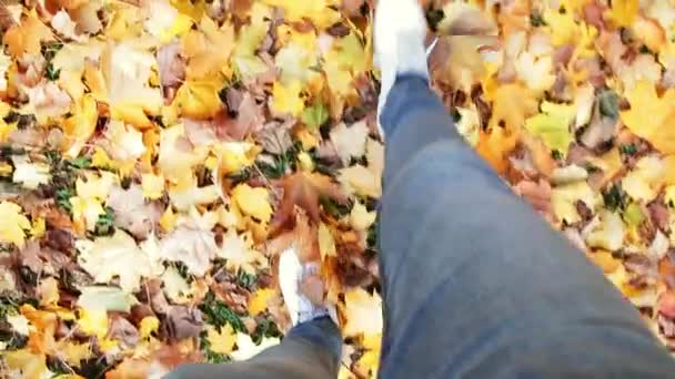 Frau Läuft Herbstpark Gelbe Blätter Boden — Stockvideo