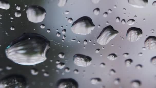 Ventana con gotas de lluvia — Vídeo de stock