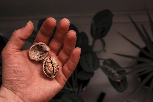 Mão Masculina Segurando Uma Noz Fundo Escuro — Fotografia de Stock