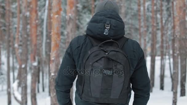 El hombre viaja por el bosque — Vídeo de stock