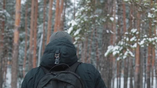 숲에서 클로즈업 남자 wolking — 비디오