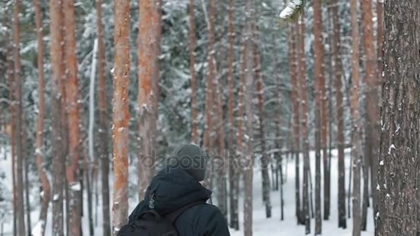 Man färdas genom skogen — Stockvideo