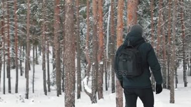 Ormanın içinden turistik seyahatler