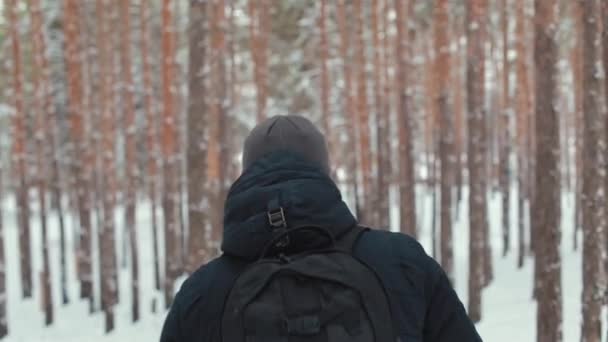 Homem com uma mochila caminhando pela floresta — Vídeo de Stock