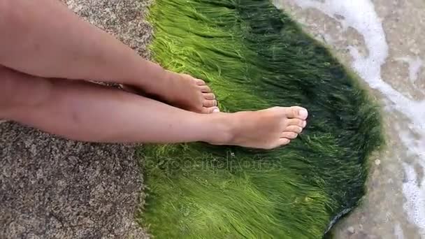 Bacaklar bir taş deniz kenarında bir genç kız — Stok video