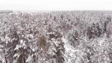 Derin Forrest - hava uçuş kışın