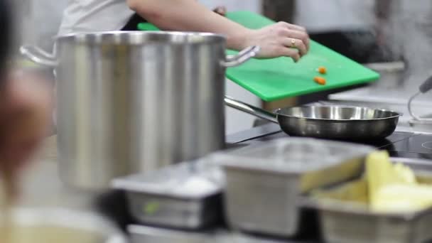 Equipe Cozinheiros Cozinha Cozinha — Vídeo de Stock