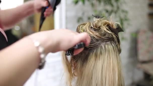 Fryzjerka Wysusza Włosy Blond — Wideo stockowe