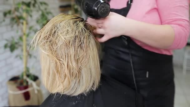 Der Friseur Trocknet Blonde Haare — Stockvideo