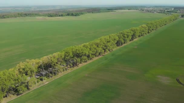 Vol au-dessus d'un champ vert au centre duquel passe la route 