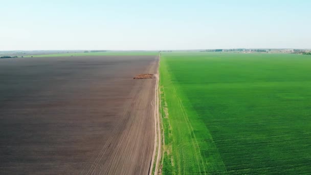 Tiro Aéreo Tierra Agrícola — Vídeos de Stock