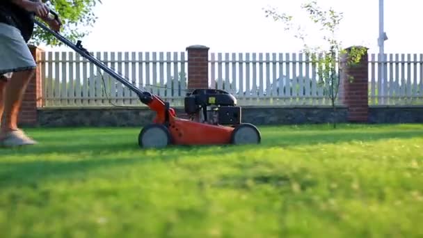 Een Man Maait Gras Met Een Grasmaaier — Stockvideo