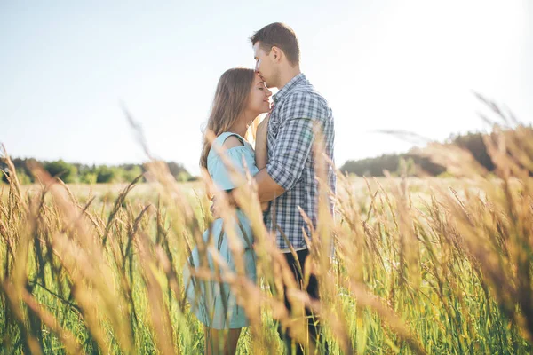 The guy kisses the girl's forehead in a wheat field Royalty Free Stock Photos