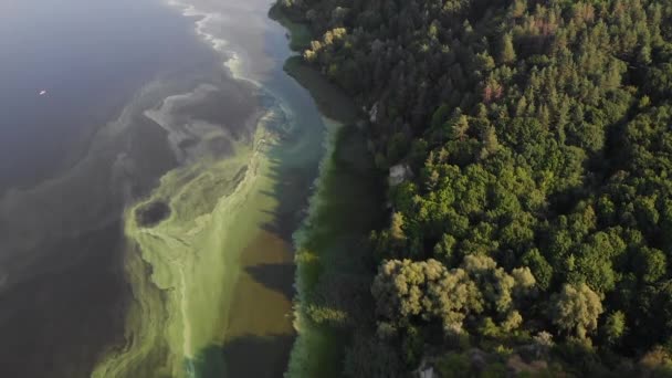 Tournant depuis un drone, la caméra vole sur la rivière 