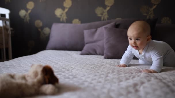 Baby Leert Kruipen Naar Een Zacht Speeltje Een Bed — Stockvideo