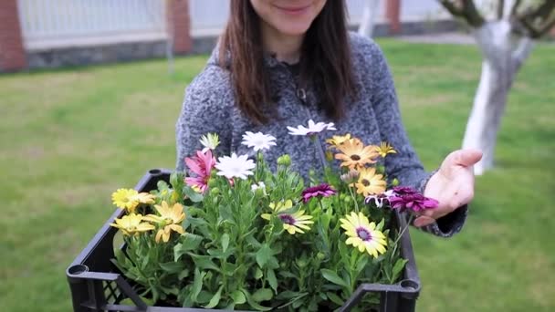 Menina Está Tocando Flores Uma Cesta Destinada Plantar — Vídeo de Stock