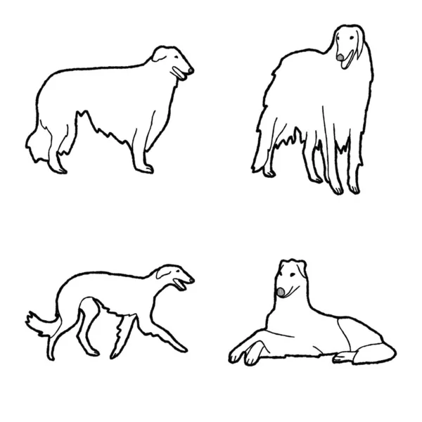 Borzoi Ζώων Διάνυσμα Εικονογράφηση Χέρι Ζωγραφισμένα Κινούμενα Σχέδια Τέχνης — Διανυσματικό Αρχείο