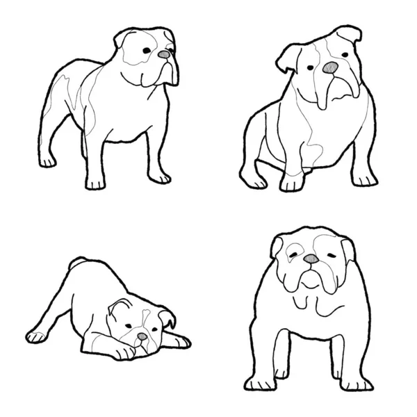 Bulldog Zwierząt Wektor Ilustracja Ręcznie Rysowane Sztuki Kreskówek — Wektor stockowy