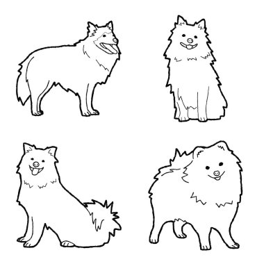 German Spitz Animal Vector Illustration Hand Drawn Cartoon Art clipart