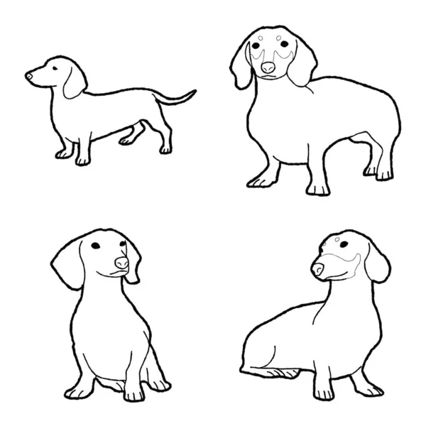 Dachshund Animal Vetor Ilustração Mão Desenhado Desenhos Animados Arte — Vetor de Stock