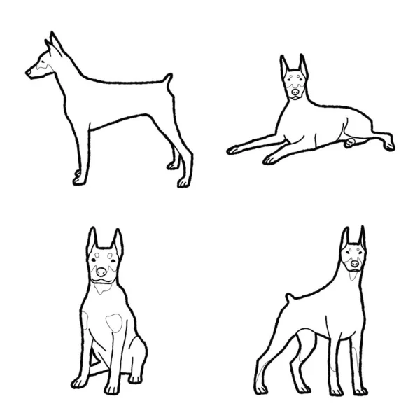 Doberman Pinscher Animal Vetor Ilustração Mão Desenhado Desenhos Animados Arte — Vetor de Stock