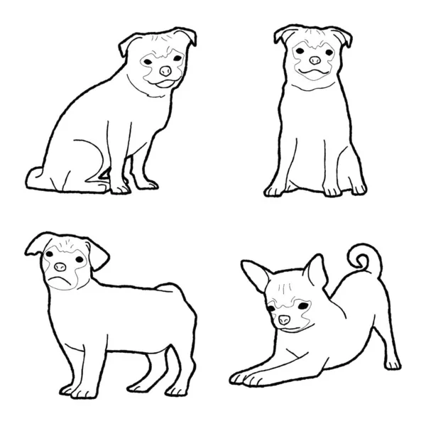 Illustration Vectorielle Animale Chug Dessinée Main Dessin Animé Art — Image vectorielle