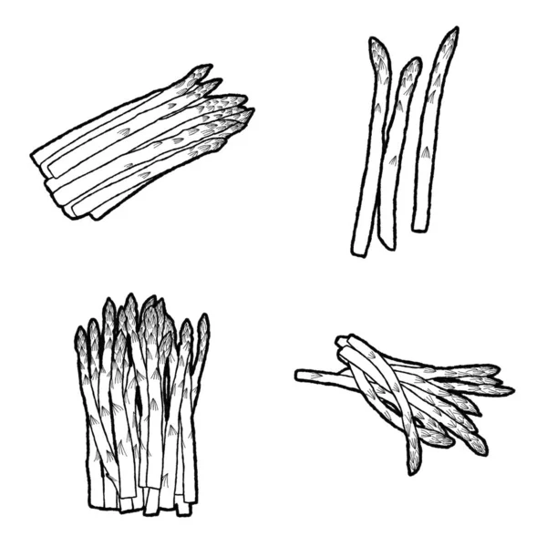 Illustration Vectorielle Betterave Dessinée Main Légumes Dessin Animé Art — Image vectorielle