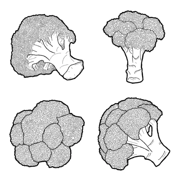 Broccoli Vector Illustration Hand Drawn Vegetable Cartoon Art — 스톡 벡터