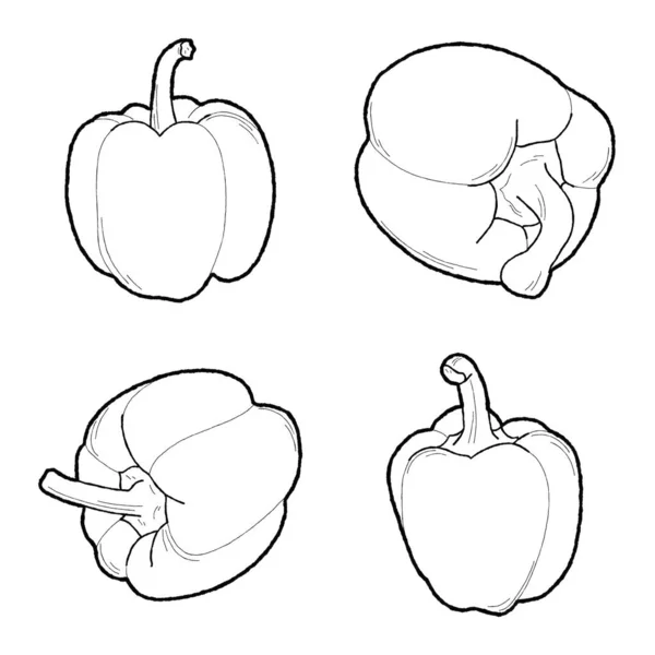 Capsicums Vector Illustration Hand Drawn Vegetable Cartoon Art — 스톡 벡터
