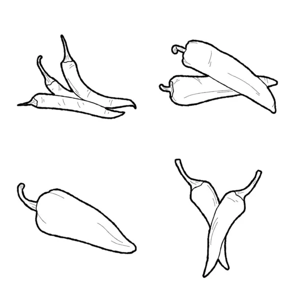 Pimentas Pimenta Vetor Ilustração Mão Desenhado Vegetais Desenhos Animados Arte —  Vetores de Stock
