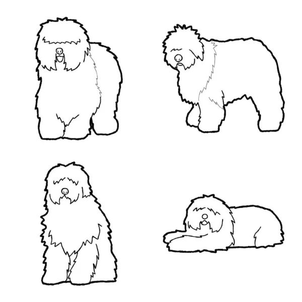 Παλιά Αγγλικά Sheepdog Ζώων Διανυσματική Εικονογράφηση Χέρι Ζωγραφισμένα Κινούμενα Σχέδια — Διανυσματικό Αρχείο