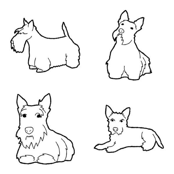 Terrier Escocês Animal Vector Ilustração Mão Desenhada Cartoon Art — Vetor de Stock