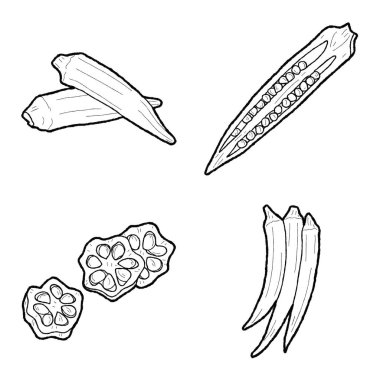 Okra Vector Illustration Hand Drawn Vegetable Cartoon Art clipart