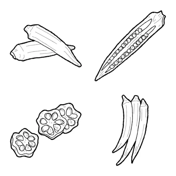 Okra Vector Ilustração Mão Desenhado Vegetais Desenhos Animados Arte — Vetor de Stock